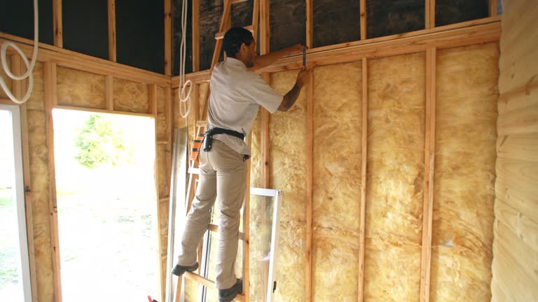 Best Soundproof Insulation  in South Sioux City, NE